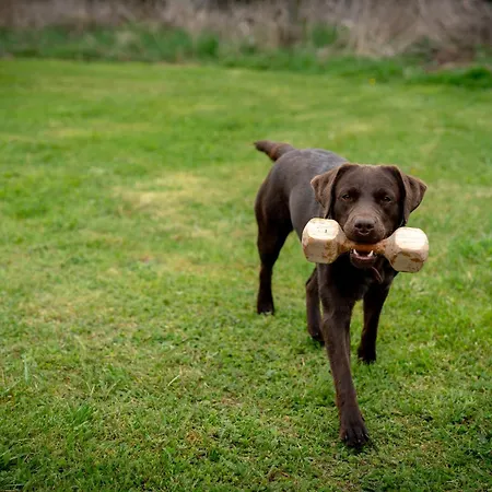 Splneny Sen - Pavlovice Maison d'hôtes Jestrebi (Liberec)